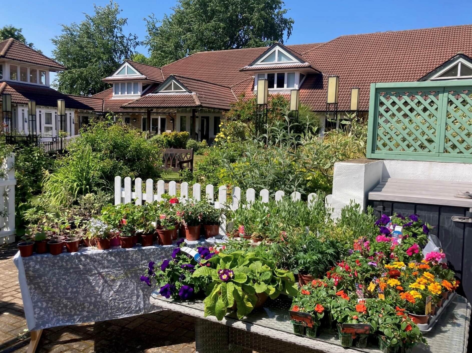 Garden with vibrant flowers in pots, white picket fence, greenhouse, and houses with red roofs in the background. - Home Instead