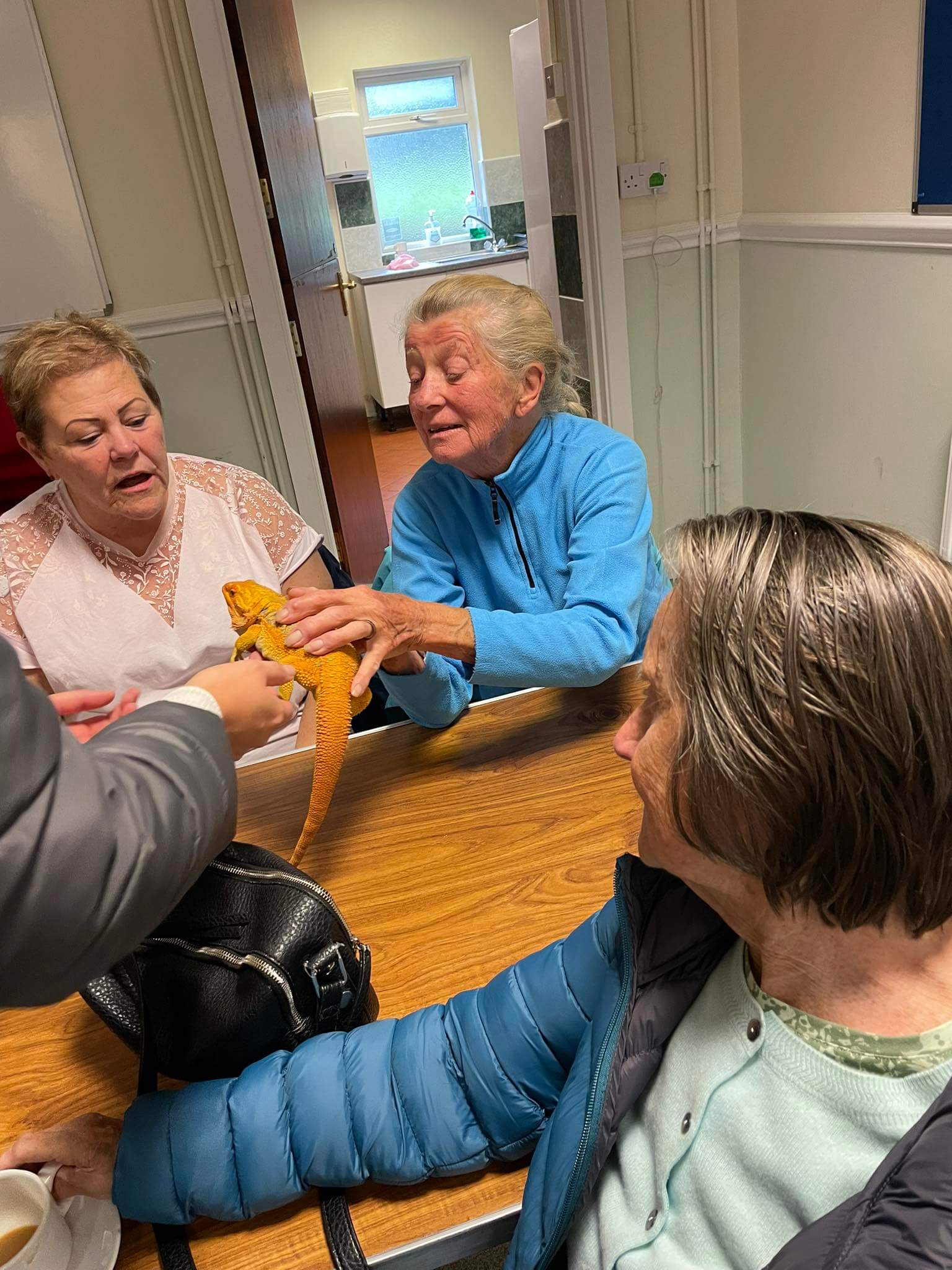 3 ladies holding a bearded dragon at a Dementia Group