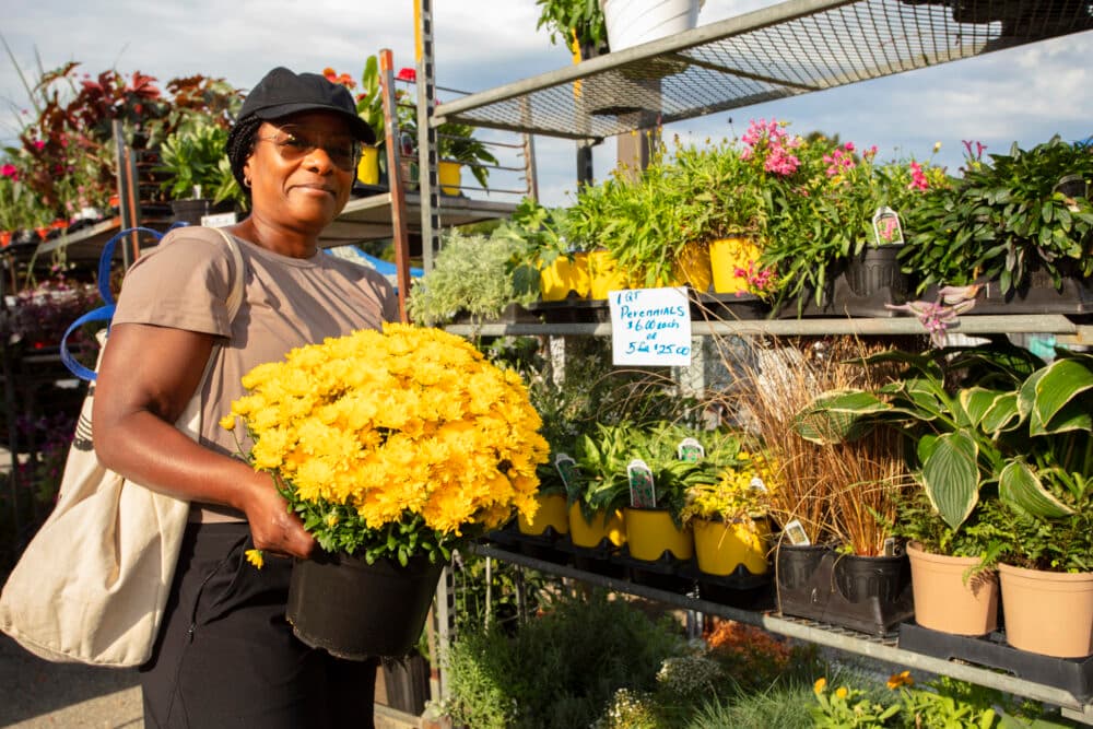 A woman out buying plants - Home Instead