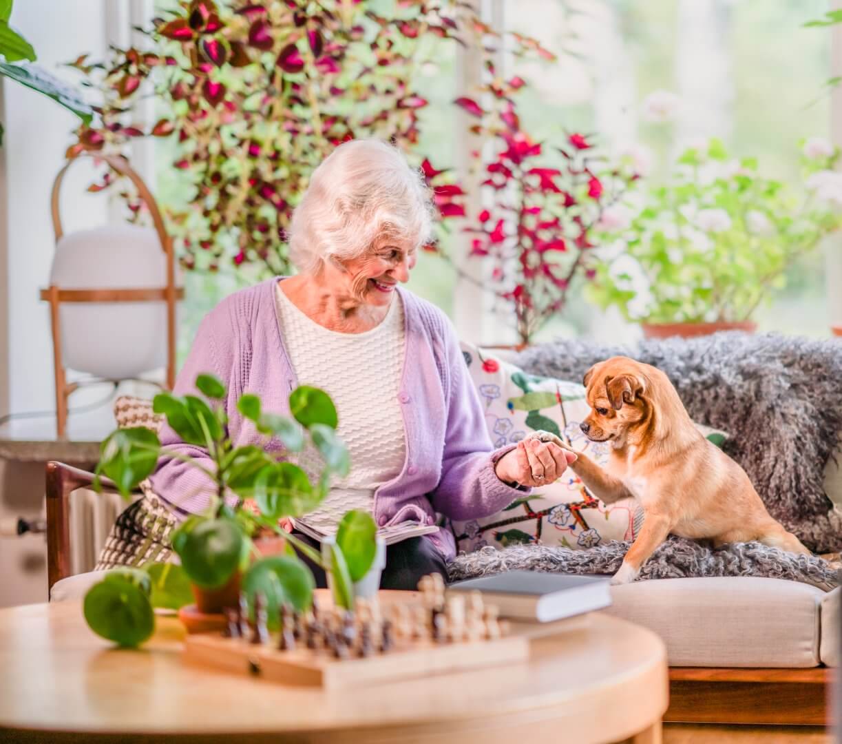 An elderly woman smiles, sitting on a couch with a small dog in a cozy, plant-filled living room. - Home Instead