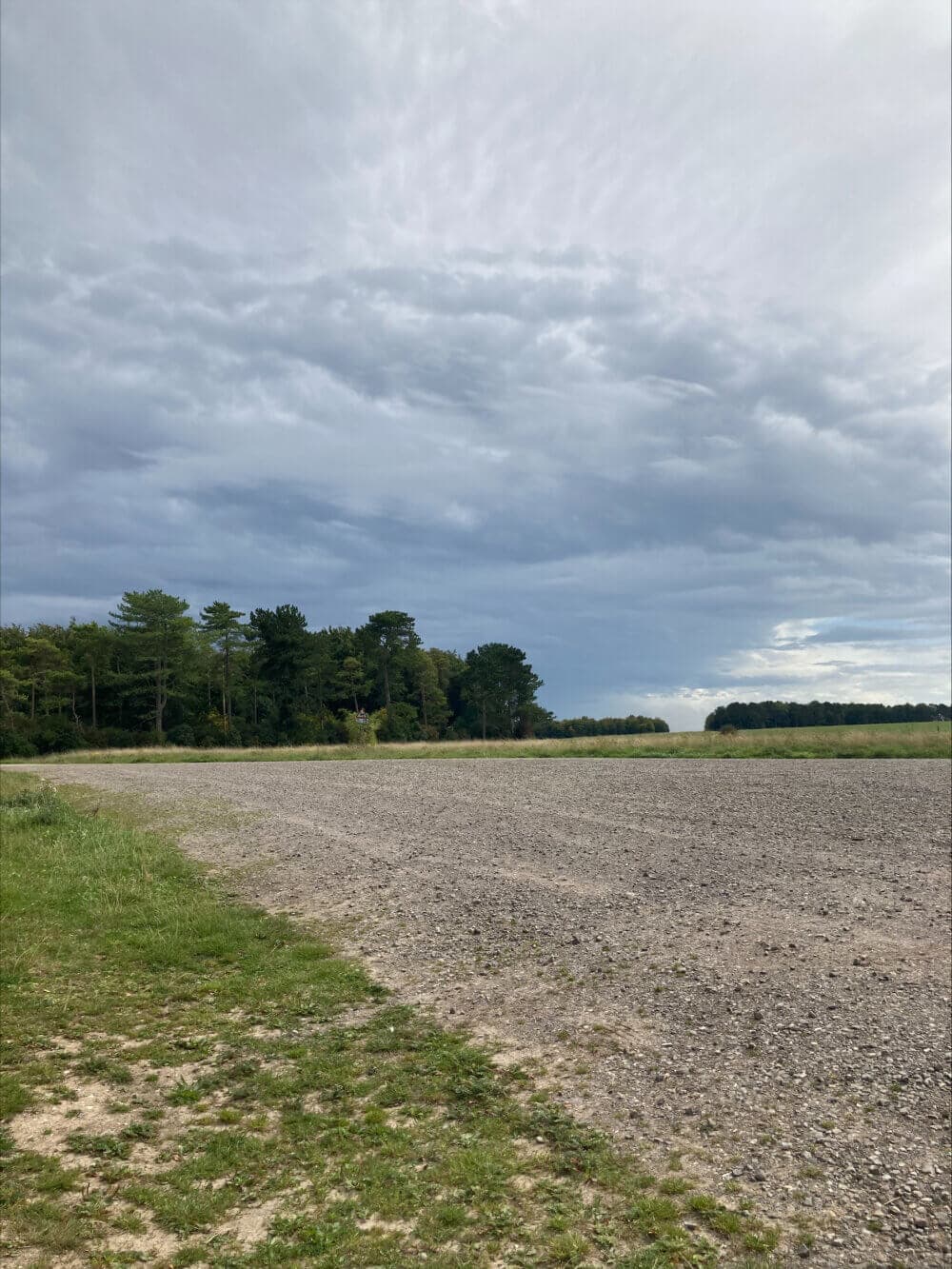 A gravel road and grassy field lead to a line of trees under a cloudy sky. - Home Instead