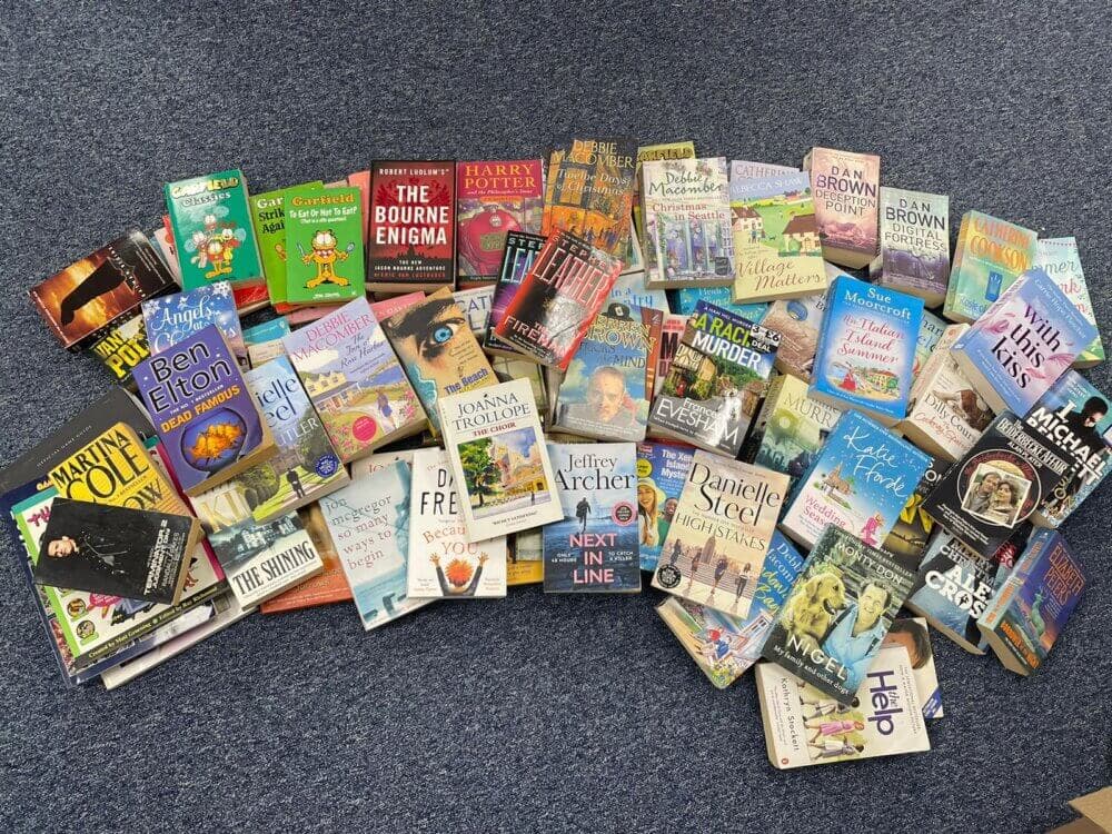 A variety of books laid out on a blue carpeted floor, showcasing different genres and authors. - Home Instead
