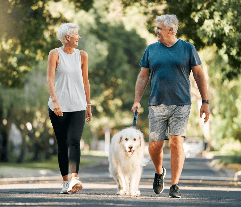 An older couple smiles at each other while walking their large white dog on a tree-lined street. - Home Instead