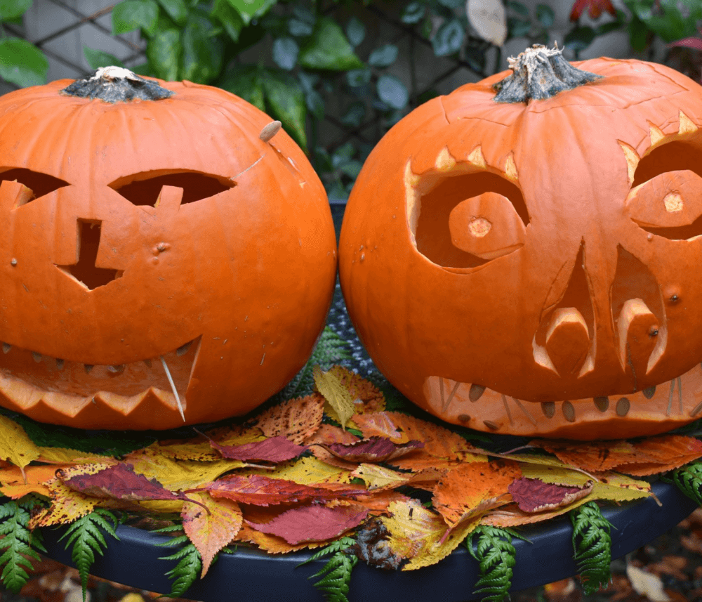 Two carved Halloween pumpkins with different facial expressions. Colorful autumn leaves scattered beneath them. - Home Instead