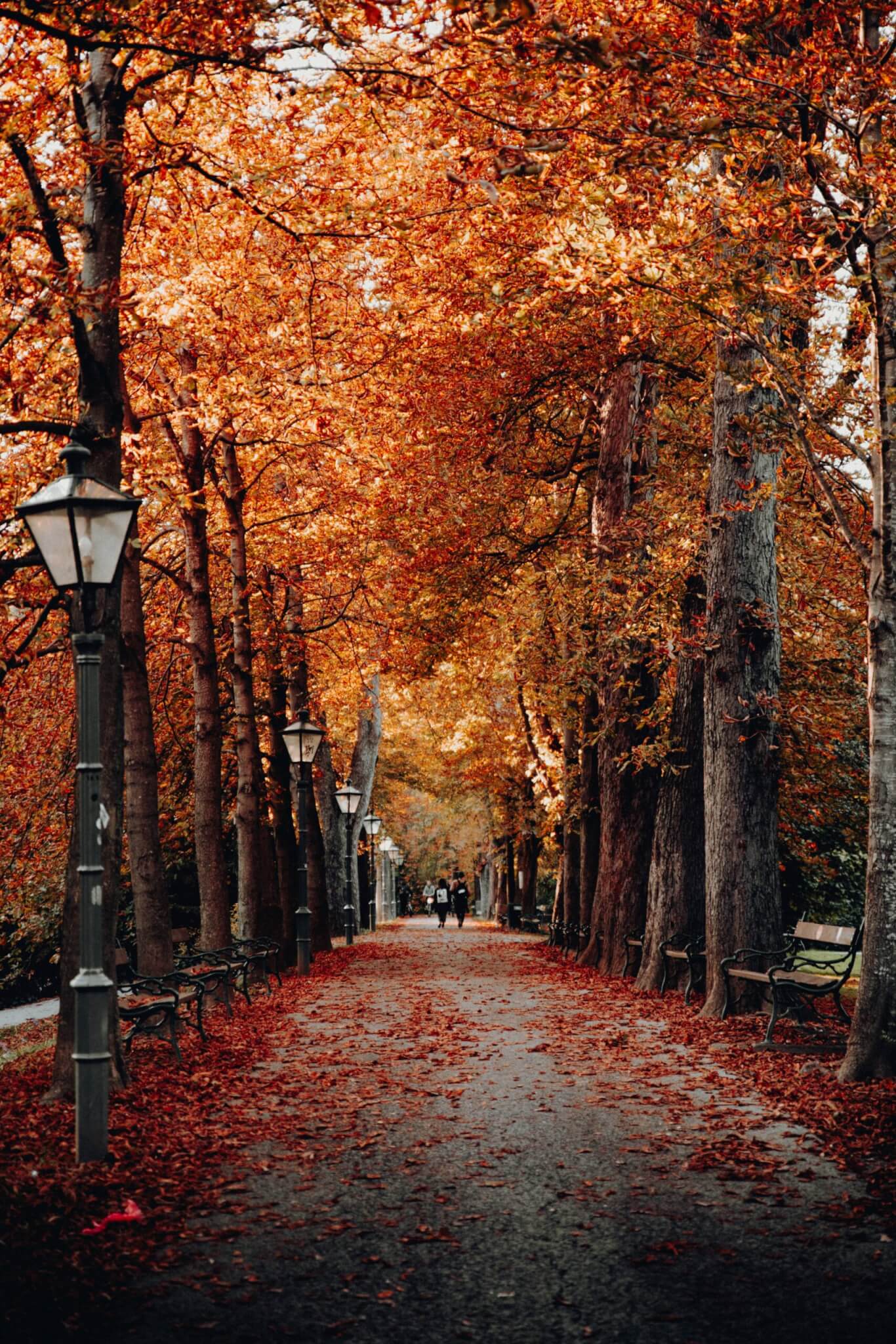 Autumn path lined with tall trees, their leaves a vibrant red and orange, with people walking in the distance. - Home Instead