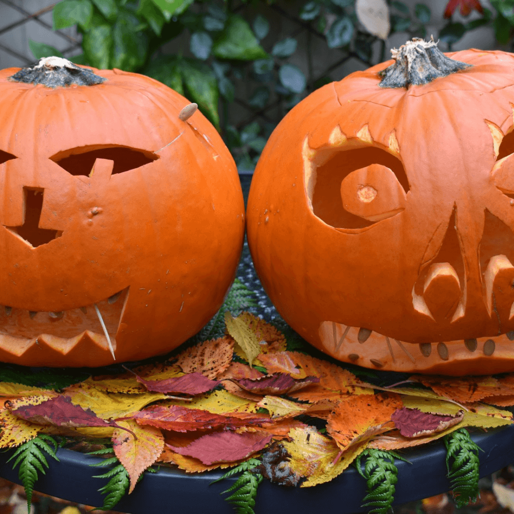 Two carved pumpkins with different facial expressions sit on a table covered with colorful autumn leaves. - Home Instead