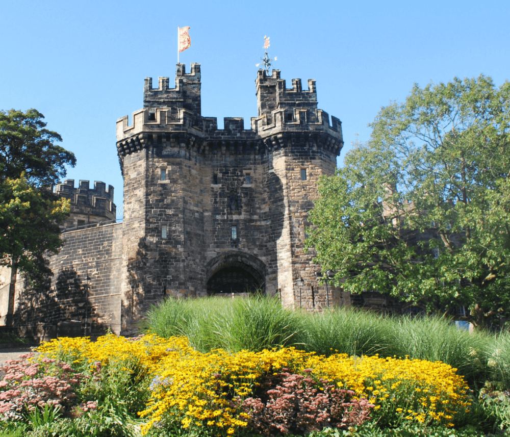 A stone castle with tall turrets and flags, surrounded by greenery and yellow flowers on a clear, sunny day. - Home Instead