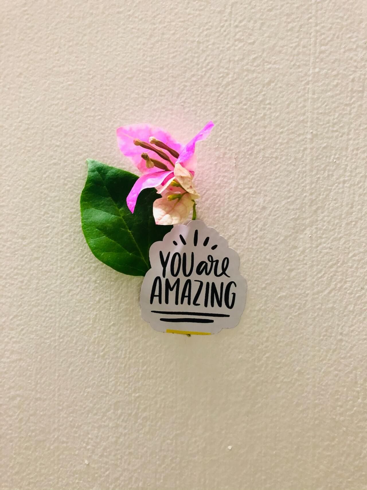 A pink flower with green leaves on a textured background with a sticker that reads "You are amazing. - Home Instead