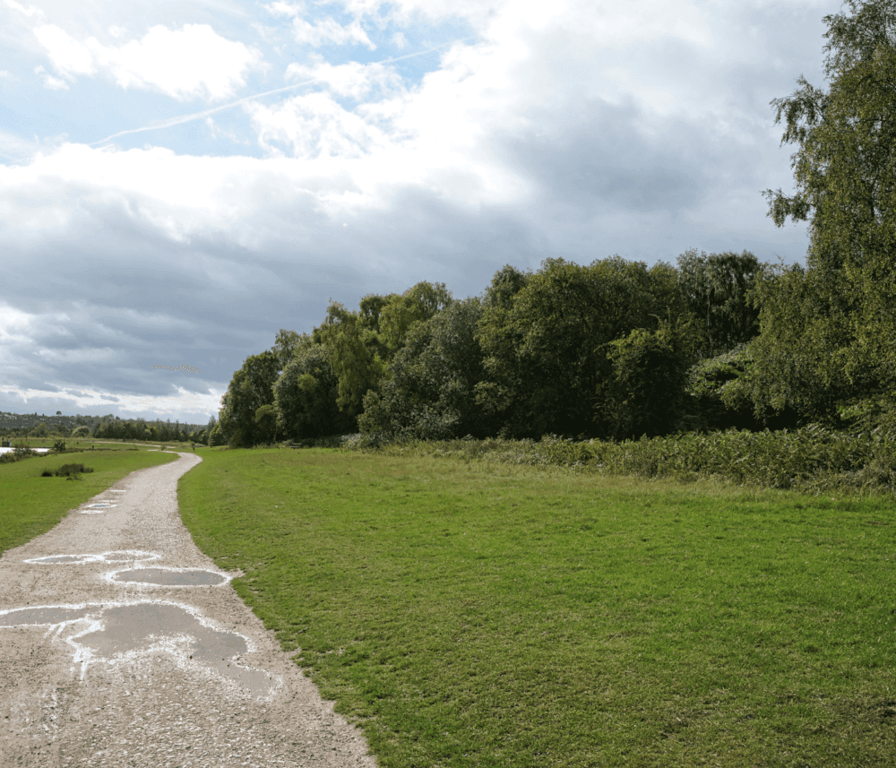 A gravel path winds through a green park with trees and a cloudy sky above. - Home Instead