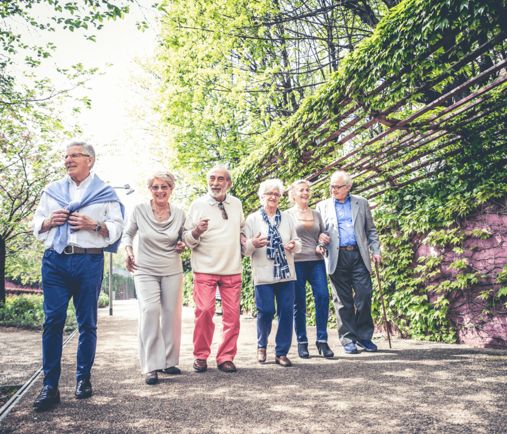 A group of six seniors walking joyfully on a path through a green, leafy park on a sunny day. - Home Instead