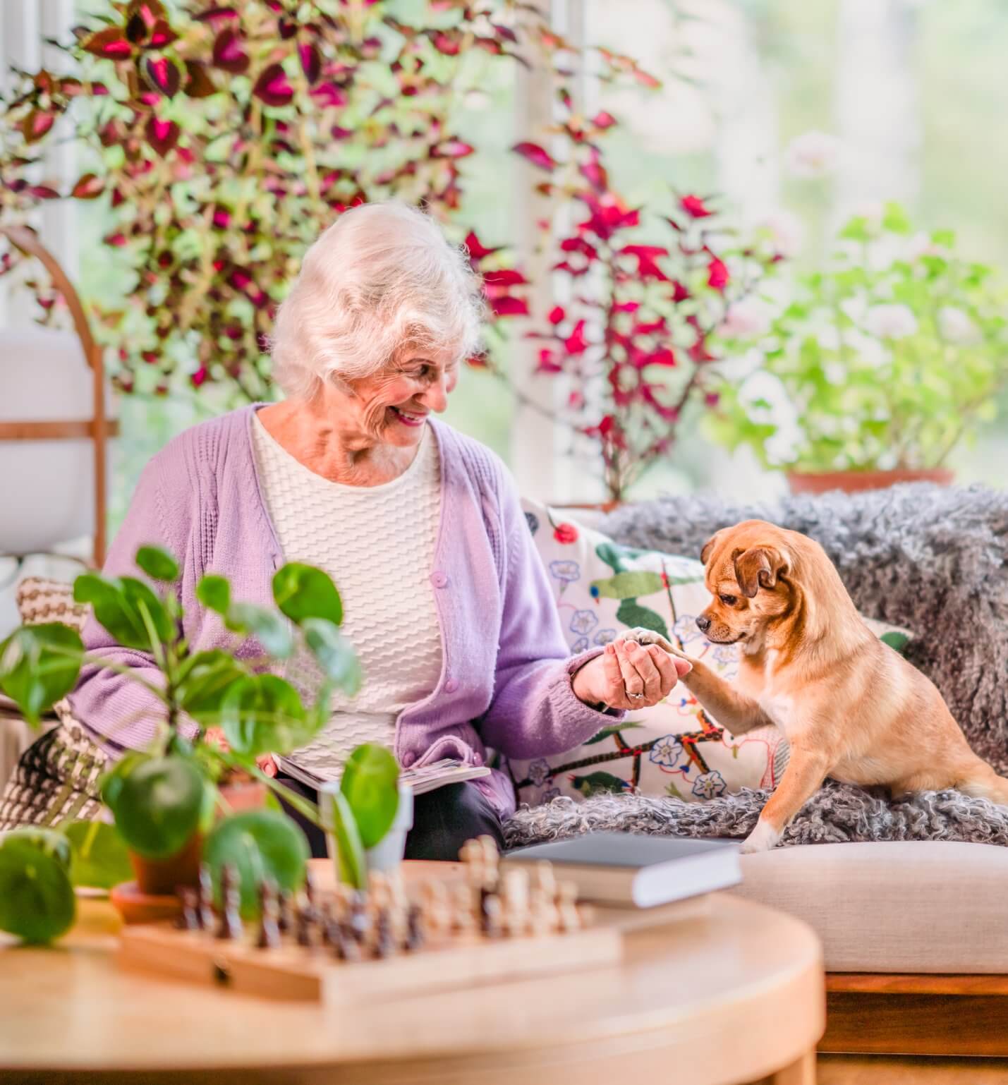 An elderly woman sitting on a sofa, playfully engaging with a small dog in a cozy, plant-filled room. - Home Instead