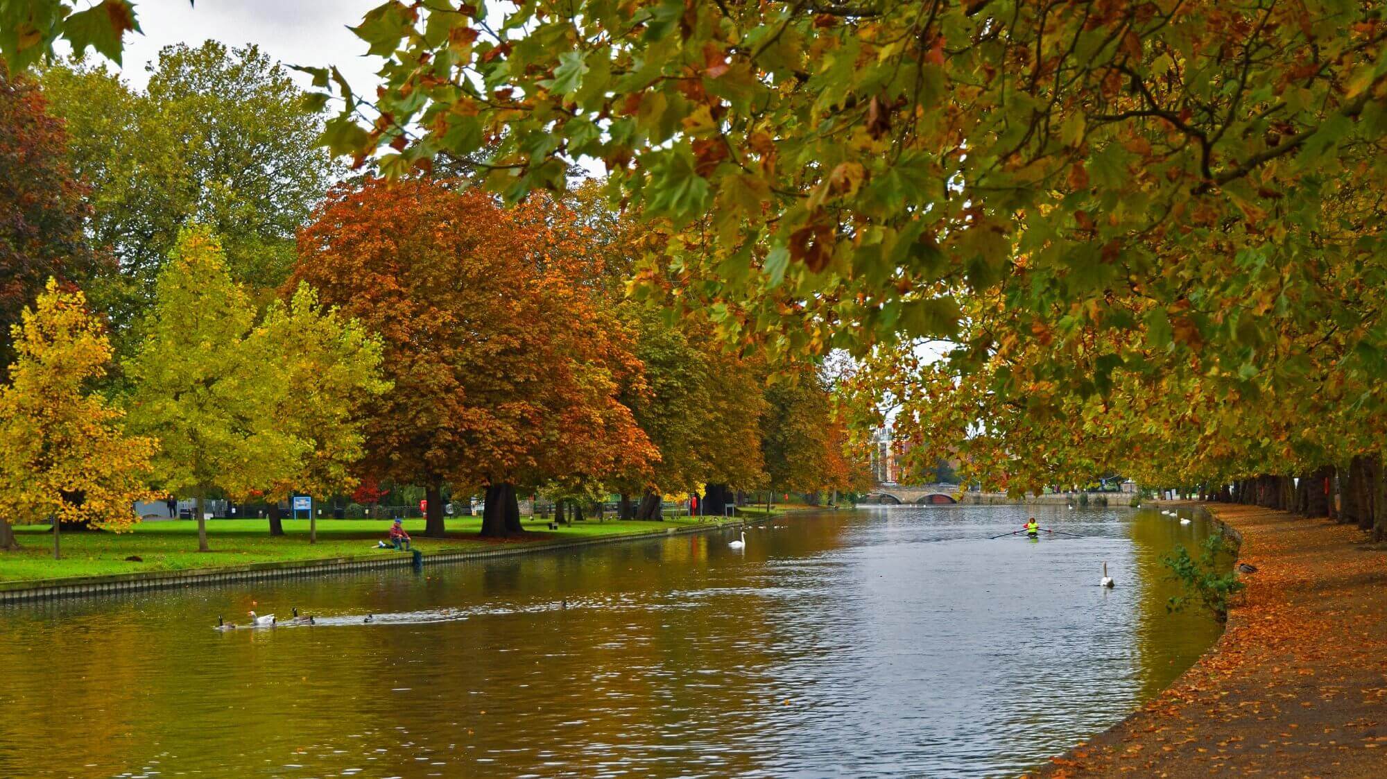 A serene river lined with colorful autumn trees, with people walking and rowing boats along the calm water. - Home Instead