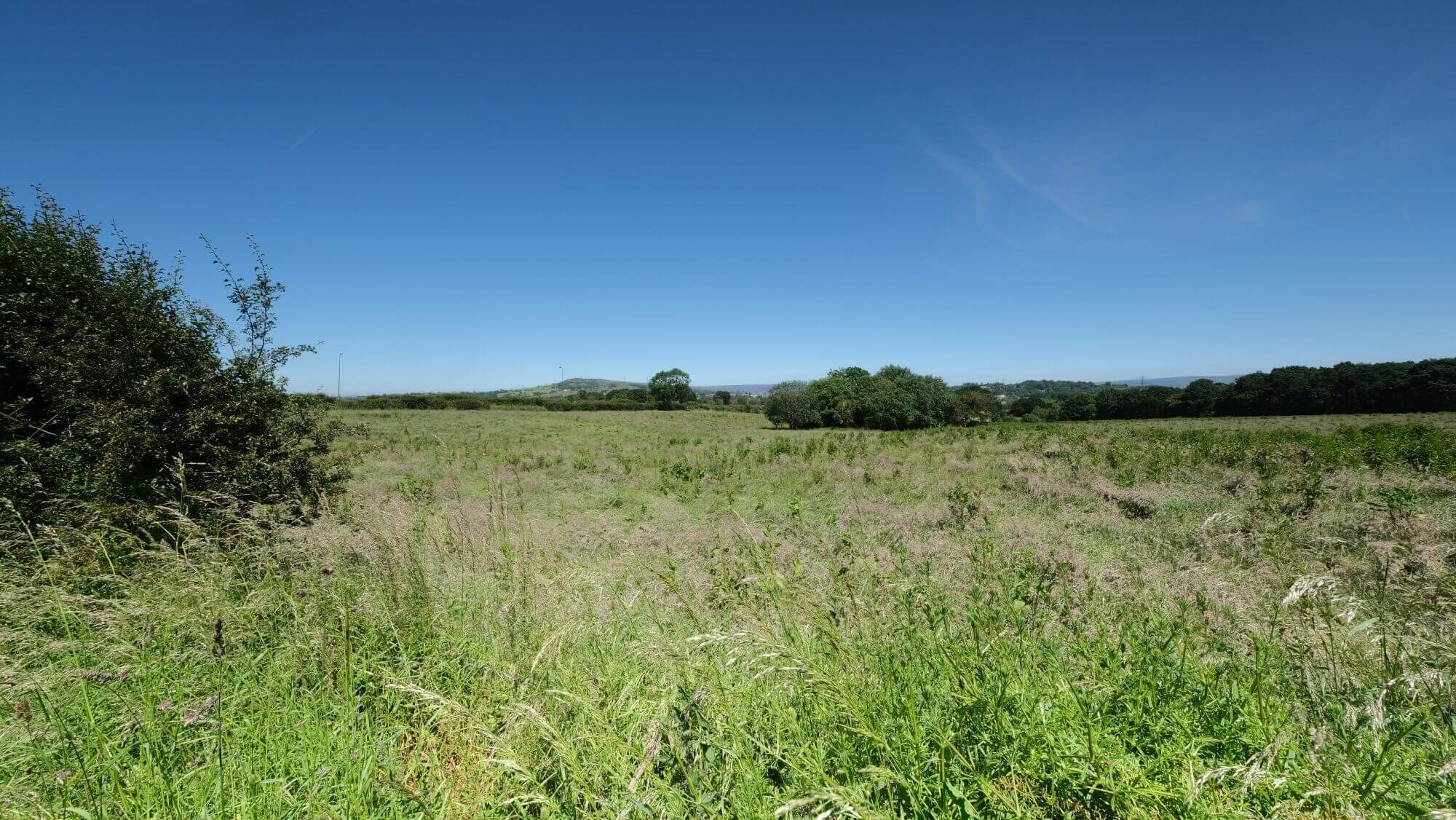 A vast green field under a clear blue sky with distant trees and bushes, showing a sunny, open countryside landscape. - Home Instead