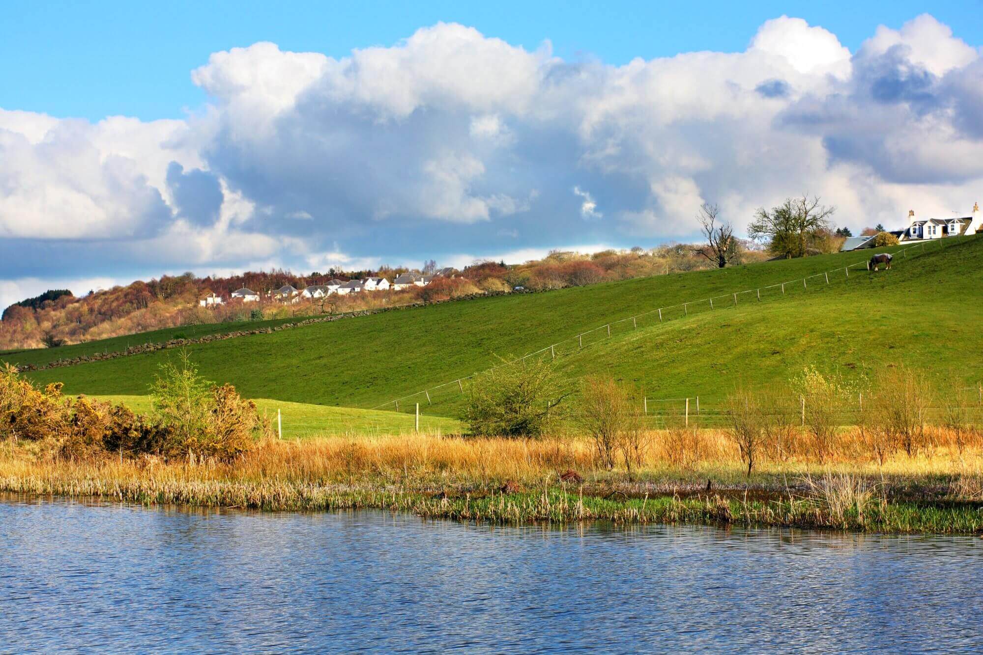 Grazing land with rolling green hills, a fence, and distant houses, under a partly cloudy sky next to a calm lake. - Home Instead