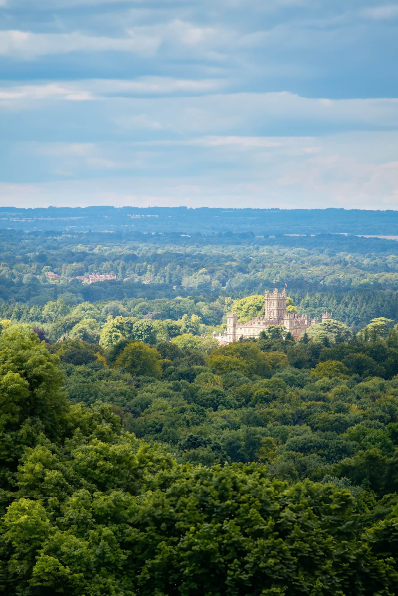 Aerial view of a historic castle surrounded by lush green forest, with a distant horizon and cloudy sky. - Home Instead