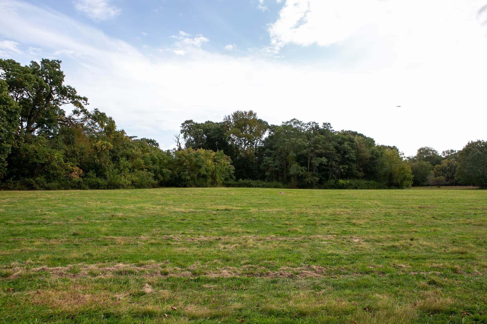 A wide grassy field with trees and a partly cloudy sky in the background. - Home Instead