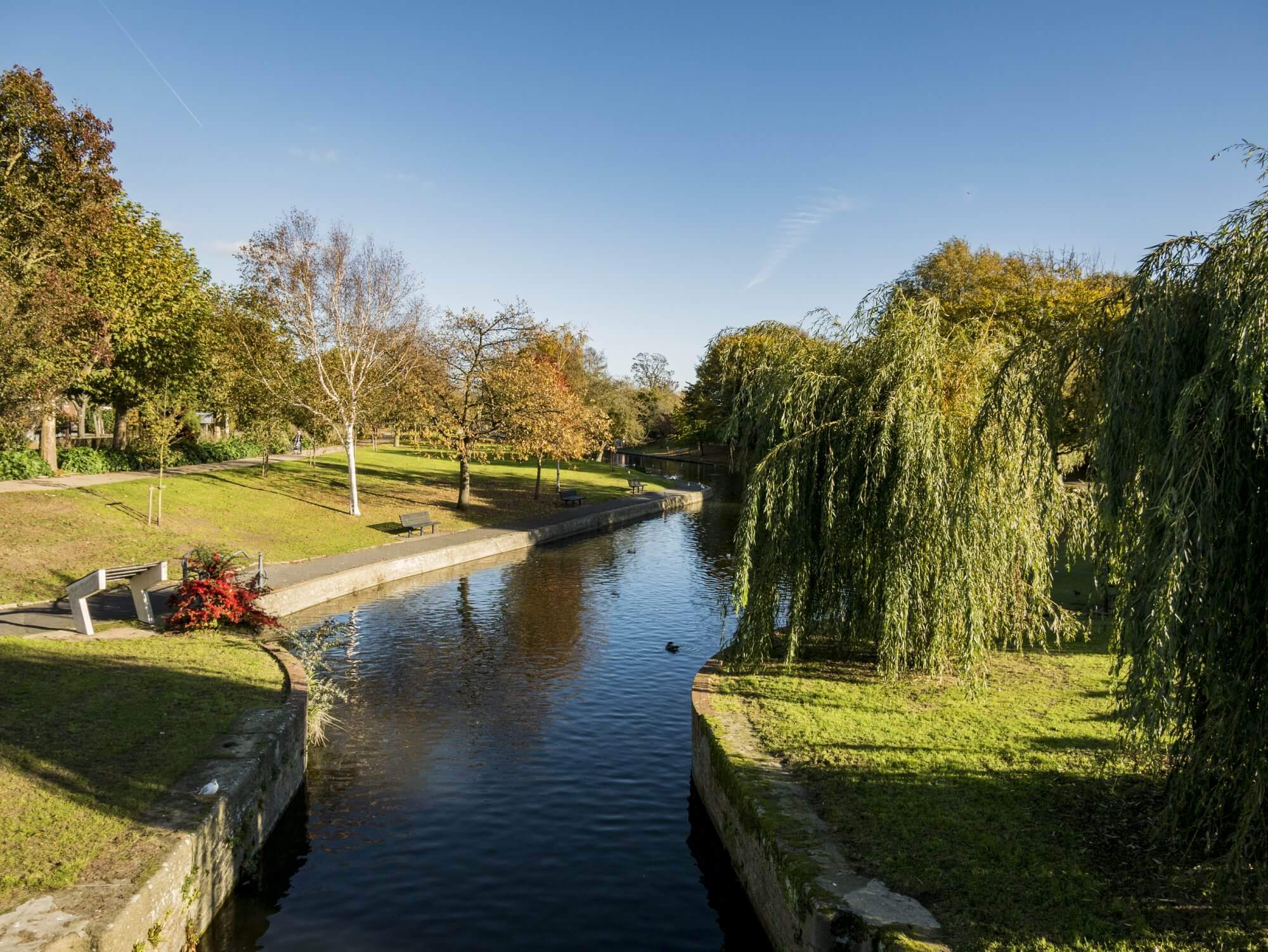 Serene park scene with a calm river, green grass, trees, and a bright blue sky. - Home Instead
