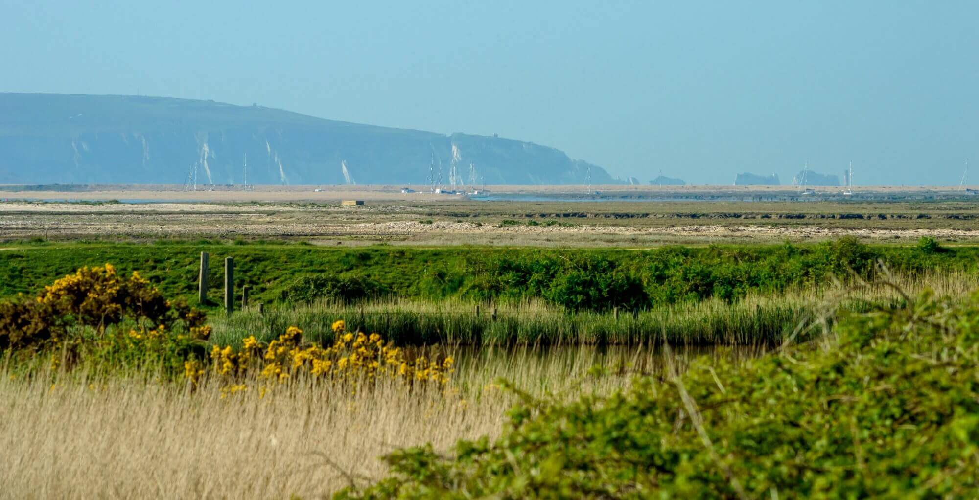A view of a coastal landscape with green vegetation, distant hills, and a blue sky in the background. - Home Instead