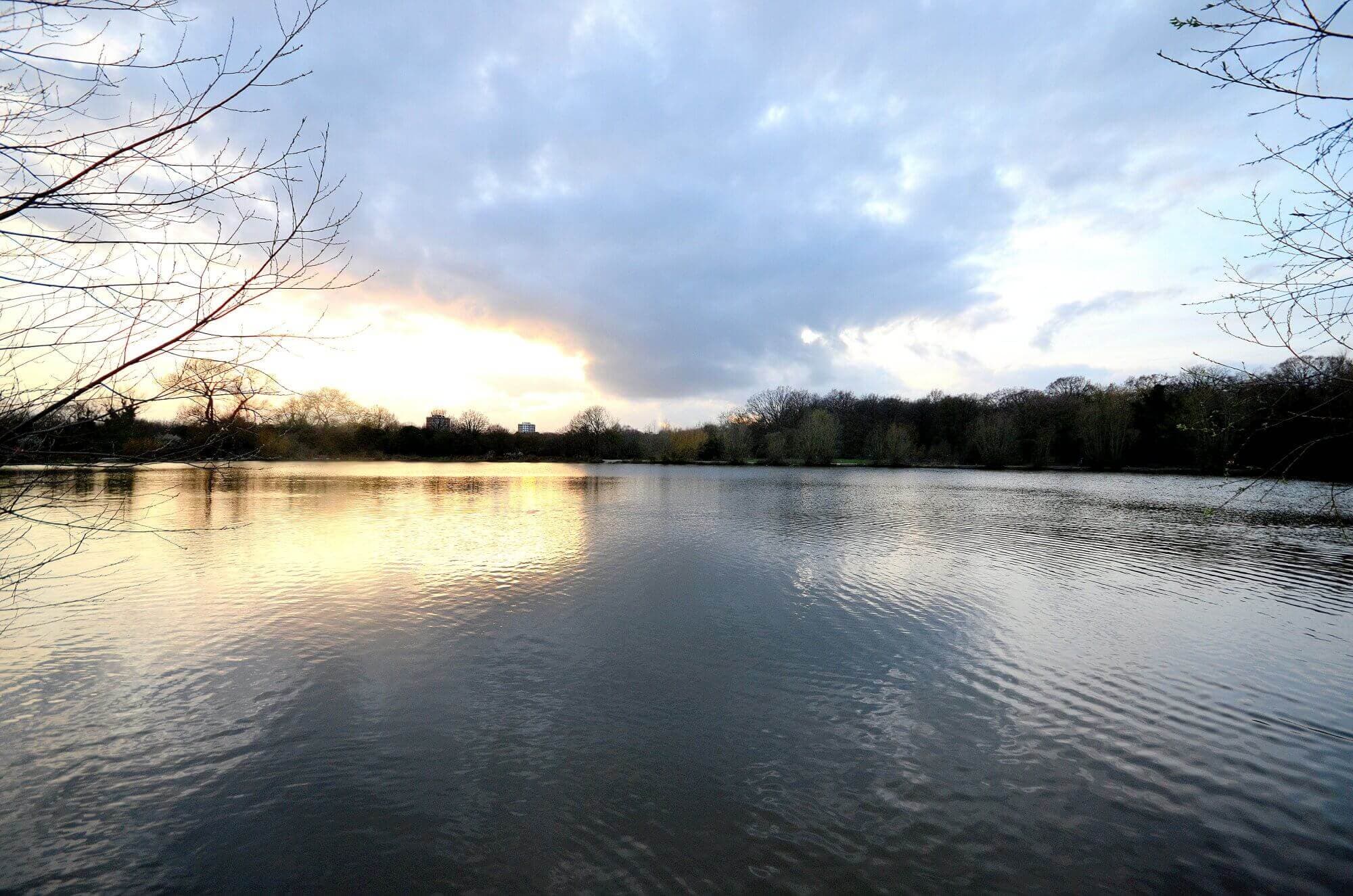 A serene lake with calm water reflecting the cloudy sky at sunset, surrounded by bare trees and distant forest. - Home Instead