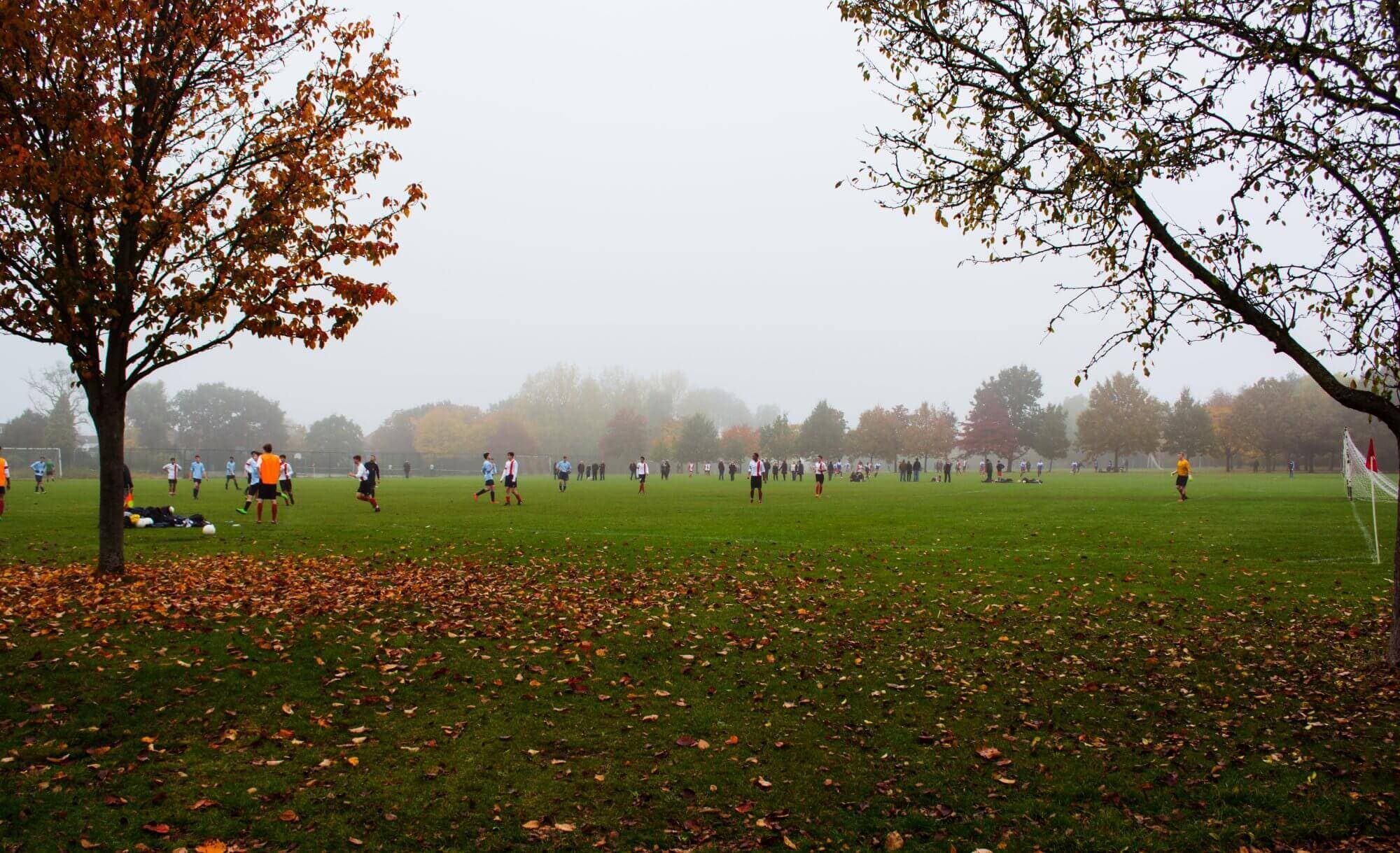People playing soccer on a foggy day in a large park surrounded by trees with autumn leaves. - Home Instead