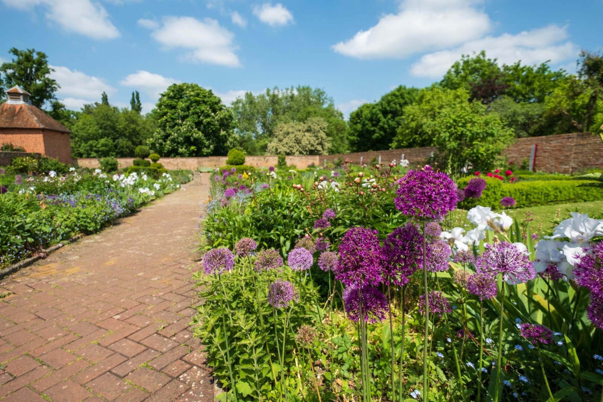 A brick path winds through a lush garden with purple, white, and red flowers under a clear blue sky with scattered clouds. - Home Instead