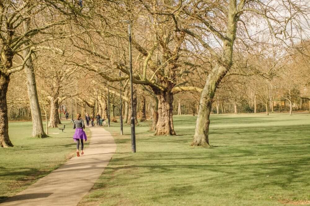 Person jogging on a path through a park with large trees and green grass on a bright day with more people in the distance. - Home Instead