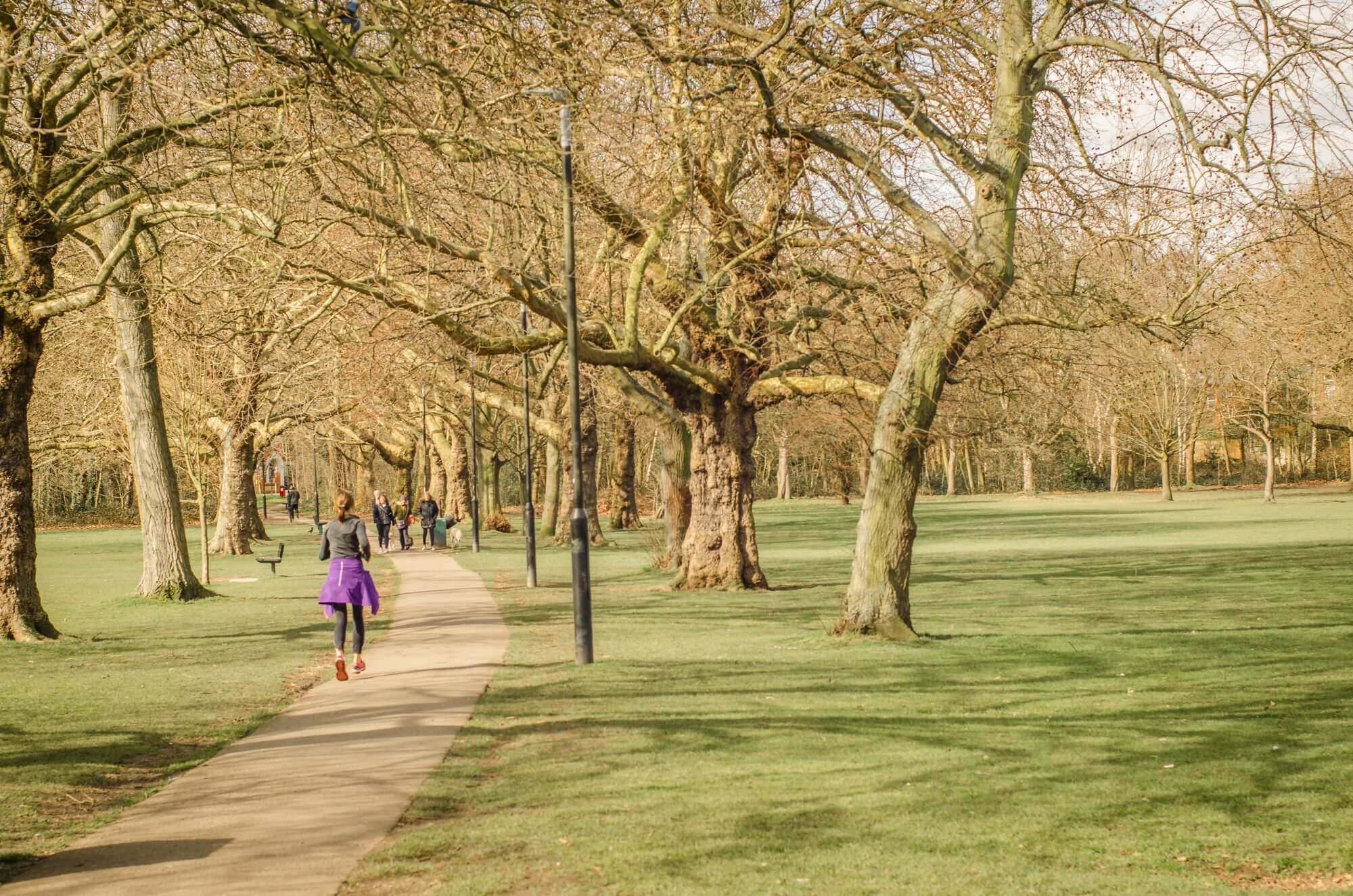 Person jogging on a path through a park with large trees and green grass on a bright day with more people in the distance. - Home Instead