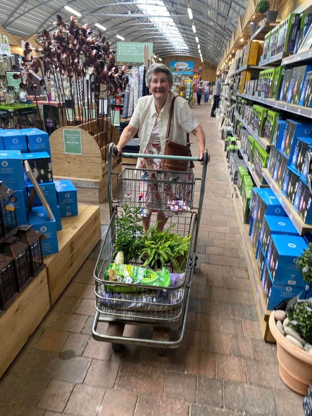 A woman pushes a shopping cart filled with plants and gardening supplies in a store aisle. - Home Instead