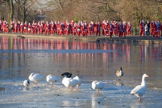 A crowd of people in Santa costumes run by a pond with geese and ducks, surrounded by trees on a winter day. - Home Instead