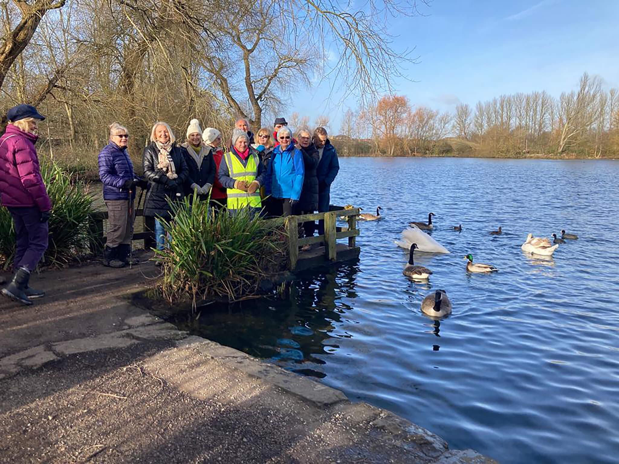 A group of people stands beside a lake with swans and ducks, enjoying a sunny day. Trees and clear skies are in the background. - Home Instead