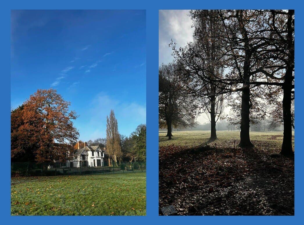 Side-by-side images: a house near autumn trees on the left, and a misty park with shadowed trees on the right. - Home Instead