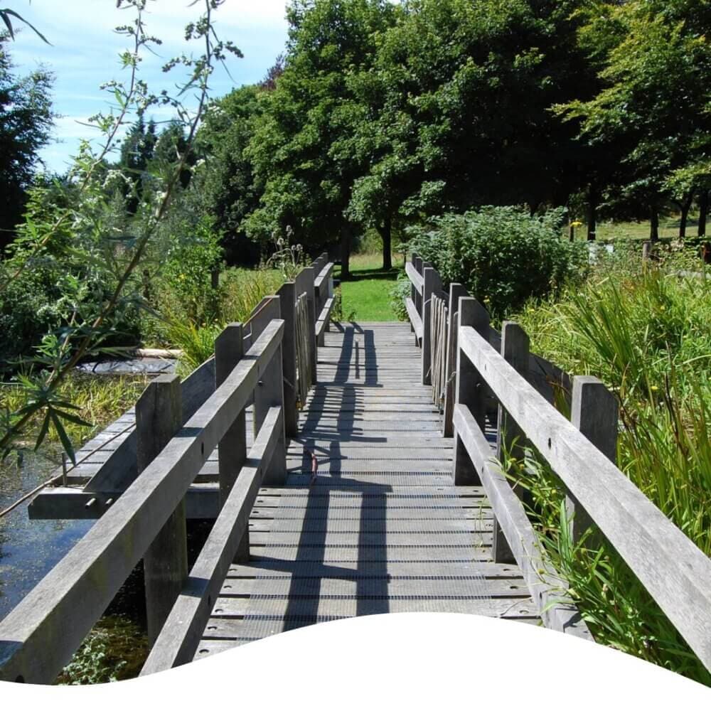 A wooden footbridge leading through lush, green vegetation and trees on a sunny day. - Home Instead