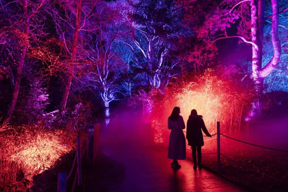 Two people walking on a pathway in a forest illuminated by colorful lights and mist, creating a magical atmosphere. - Home Instead