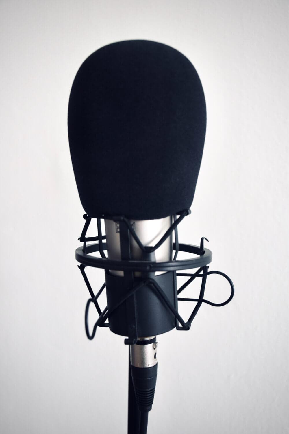 Close-up of a black and silver microphone with a windscreen, set against a plain white background. - Home Instead