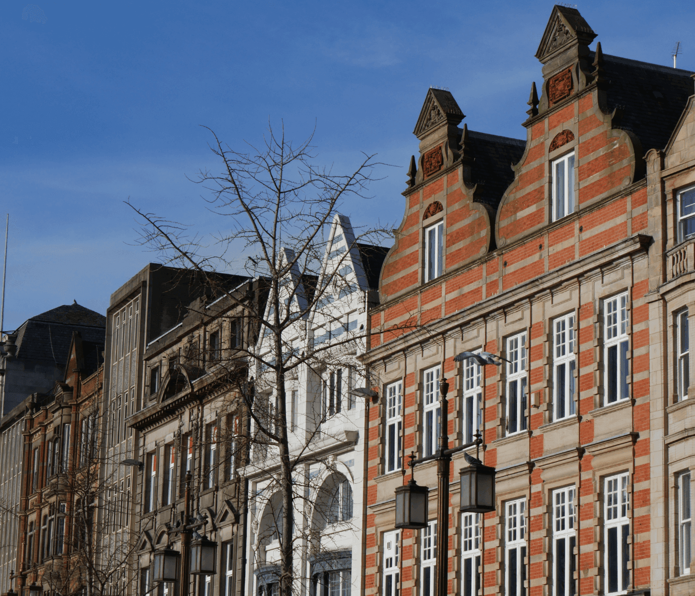 Facade of colorful historical buildings with gabled roofs against a clear blue sky; bare tree in the foreground. - Home Instead