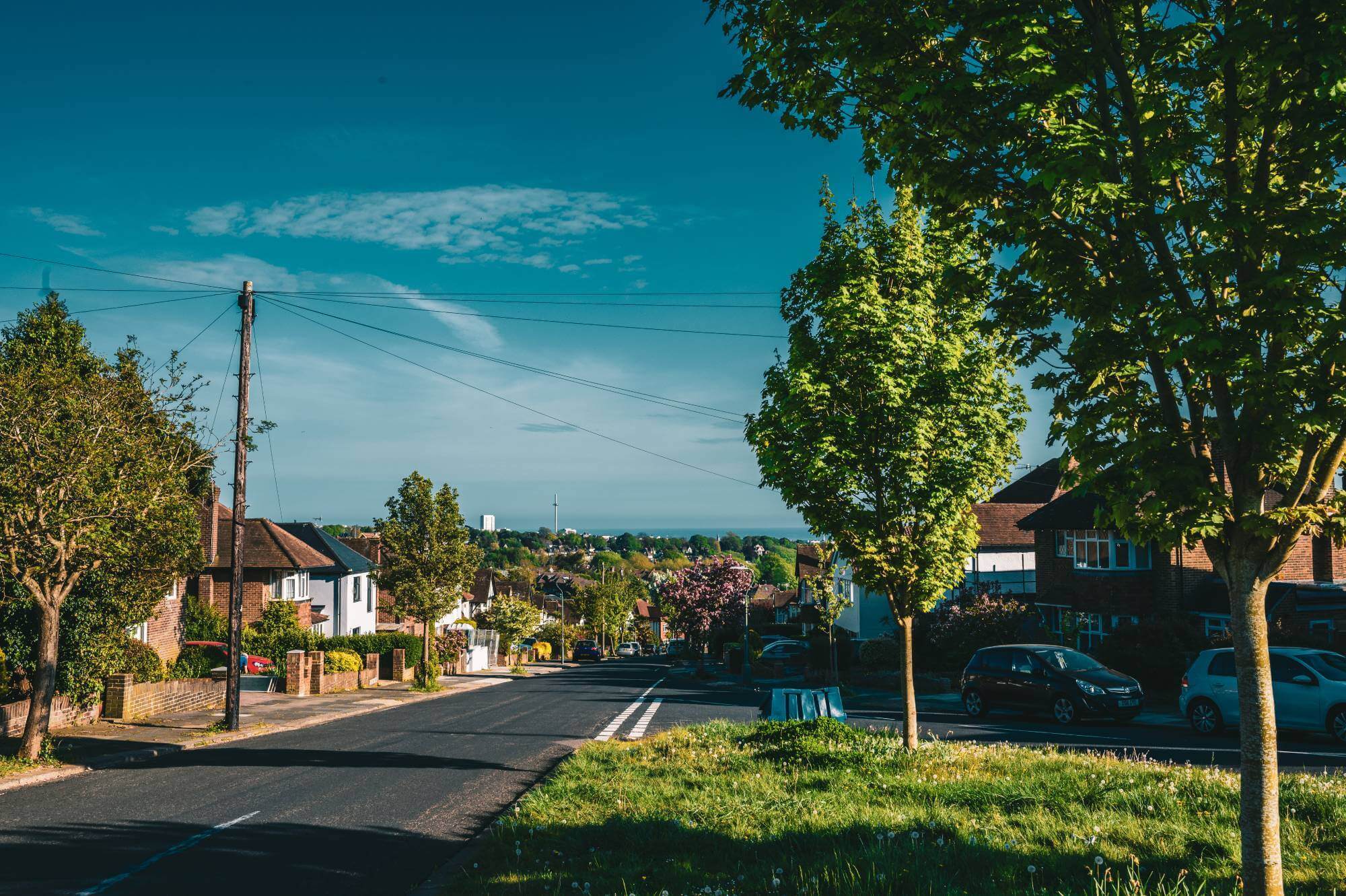 A quiet suburban street with trees lining the road and houses on both sides, under a clear blue sky. - Home Instead