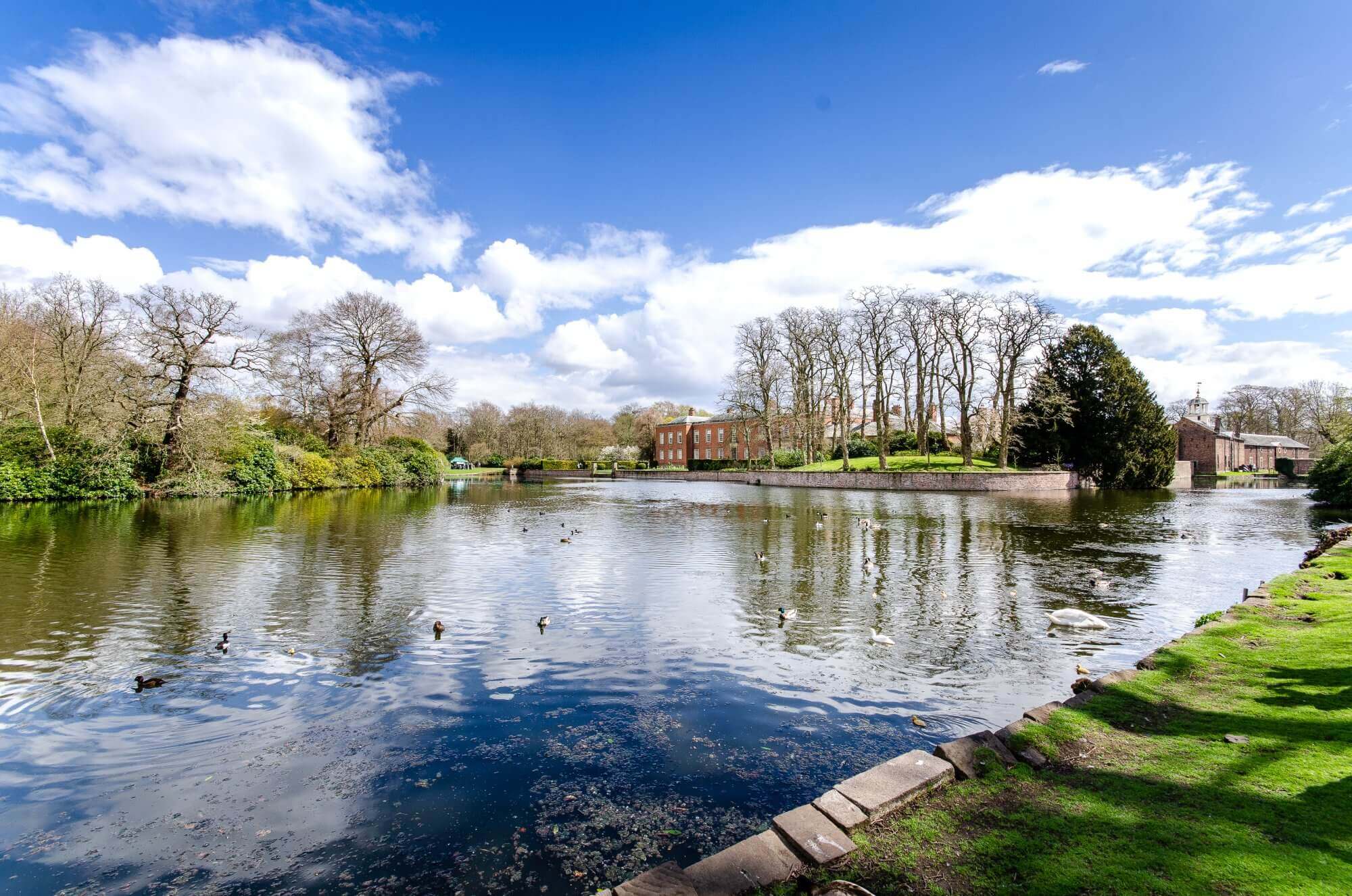 A serene pond surrounded by trees and a building in the background under a partly cloudy blue sky. - Home Instead