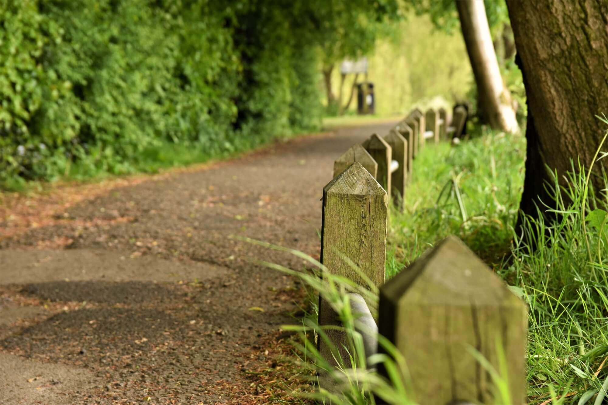 A pathway lined with wooden posts winds through a lush, green tree-covered area. - Home Instead