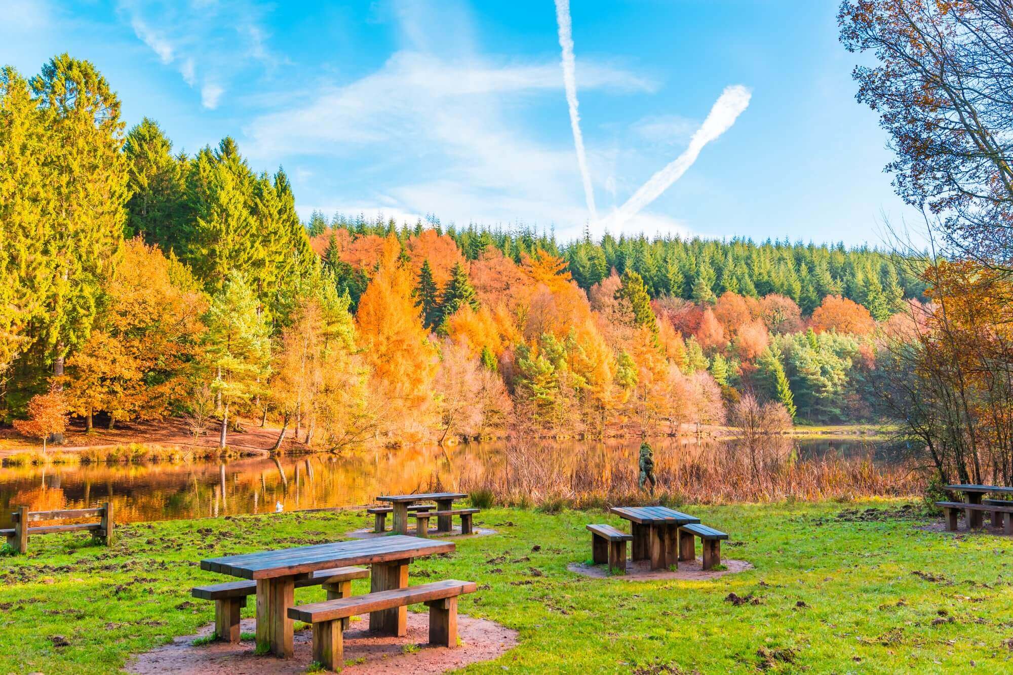 Wooden picnic tables on a grassy area near a serene lake, surrounded by trees in vibrant fall colors under a blue sky. - Home Instead