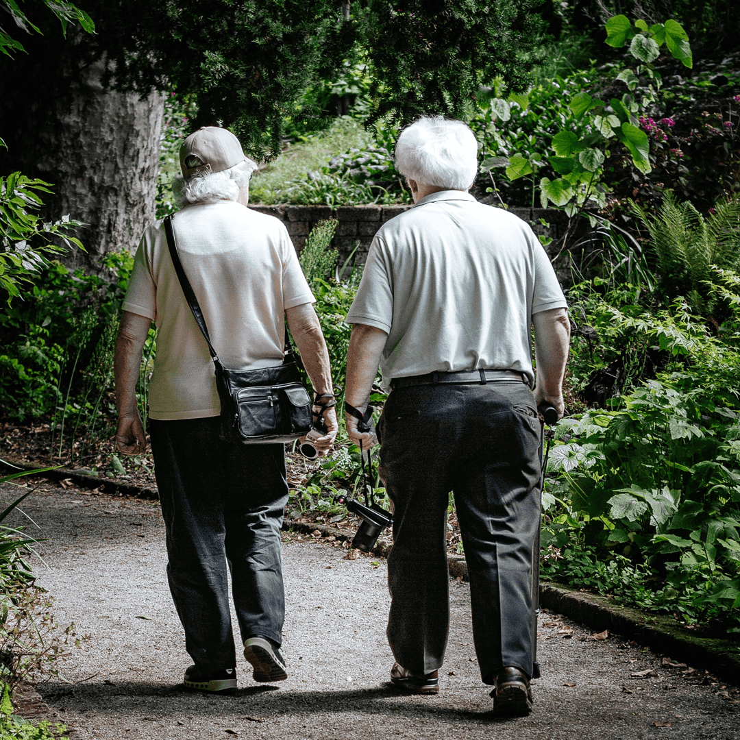 Two elderly people walking down a garden path, holding hands and carrying cameras. - Home Instead