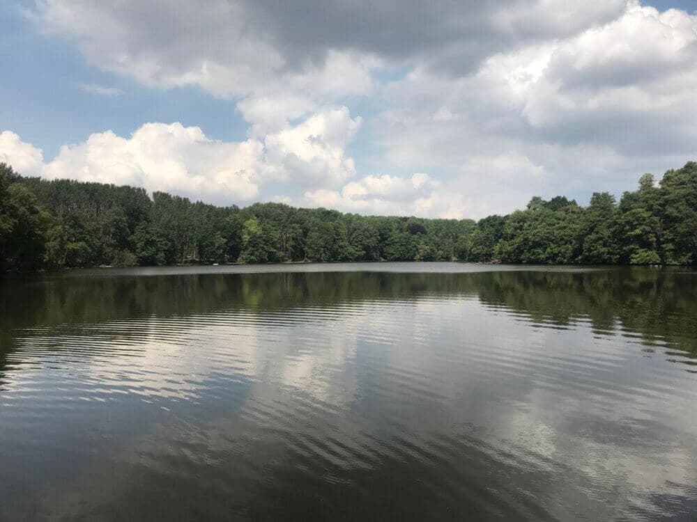Calm lake surrounded by trees under a partly cloudy sky. - Home Instead