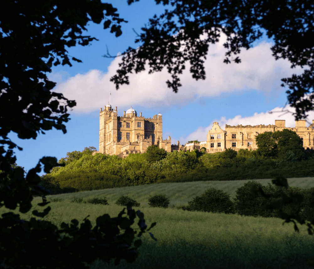 A historic castle bathed in sunlight, seen through a natural frame of trees and greenery on a hilltop. - Home Instead