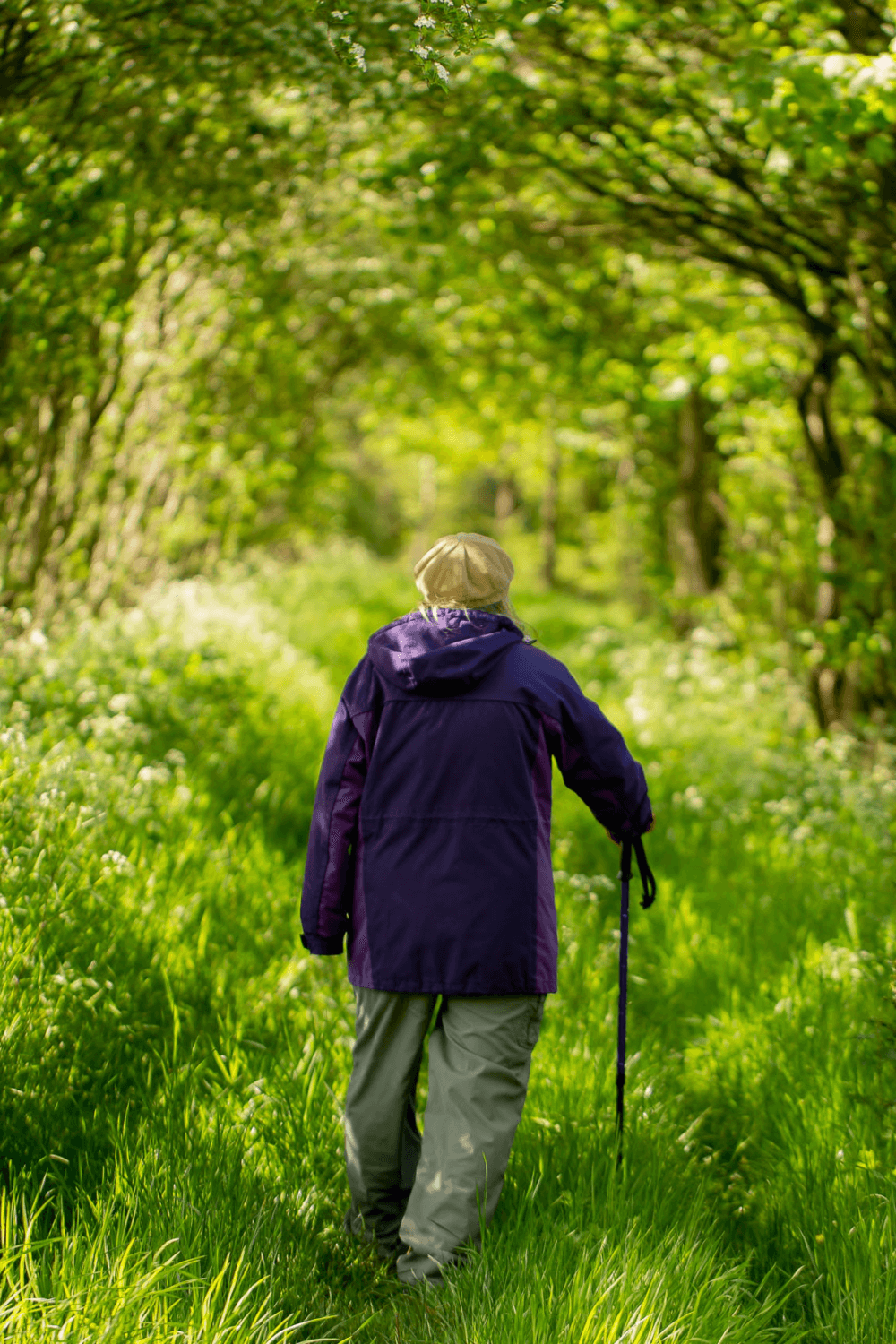 A person wearing a purple jacket walks with a cane on a lush, green path surrounded by trees. - Home Instead