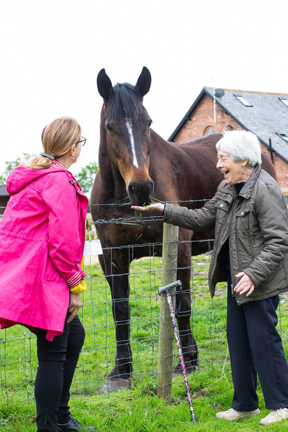 Two women, one elderly, feed a brown horse over a wire fence on a grassy field beside a house. - Home Instead