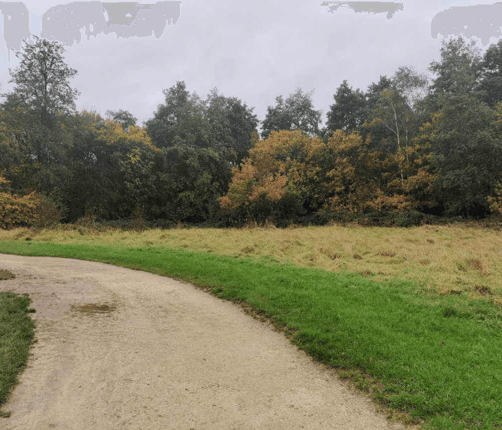 A curved dirt path beside a grassy field leads to a forest with trees showing fall colors under a cloudy sky. - Home Instead