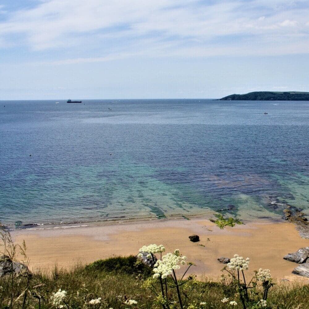 A scenic view of a beach with clear blue water, a distant ship, and a grassy shore adorned with wildflowers. - Home Instead