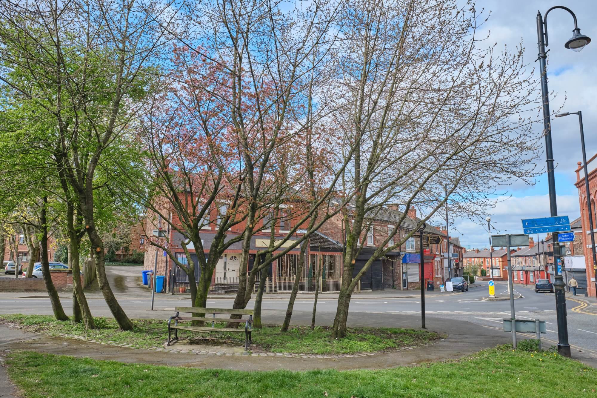 Park with trees, a bench, and a street in the background with buildings and signs. - Home Instead