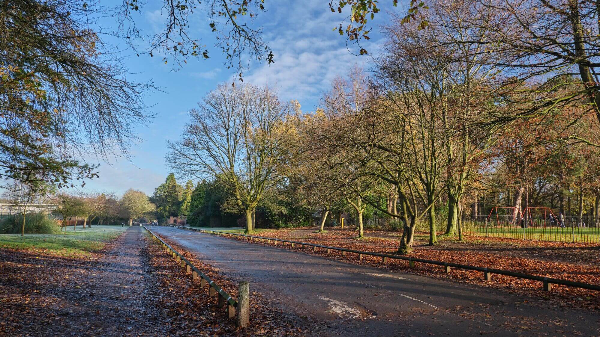 A sunlit park with bare trees, a paved walkway, and a playground swing set on the right. Fallen leaves cover the ground. - Home Instead