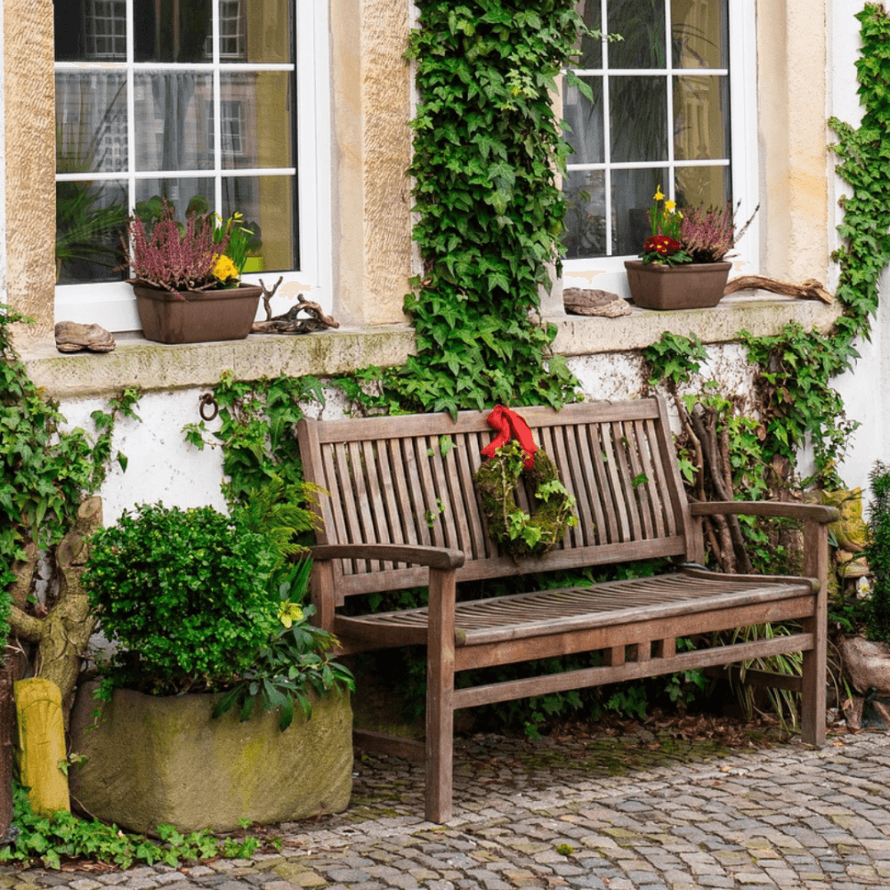 A wooden bench with a wreath sits against an ivy-covered wall, below two windows with potted plants on the ledge. - Home Instead