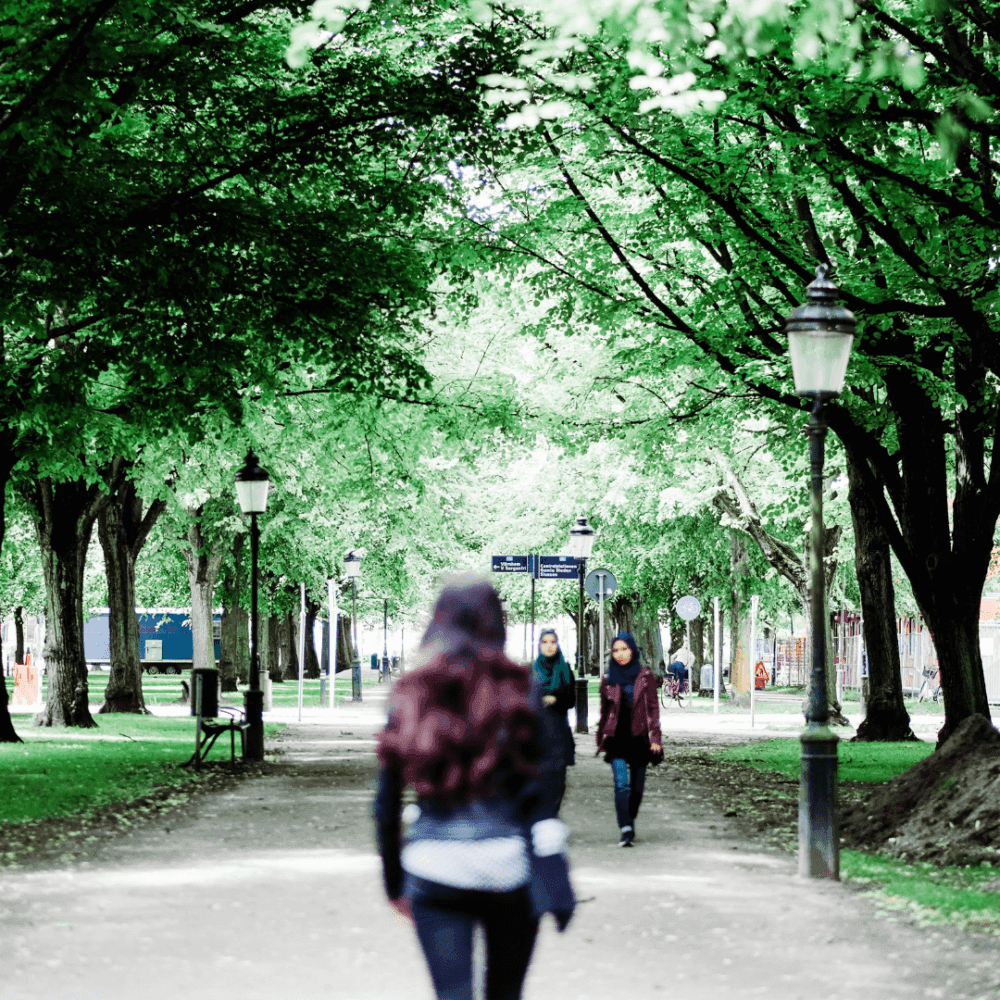 A tree-lined path with people walking and lampposts along the sides in a green, leafy park. - Home Instead